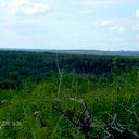 Александр Бердников