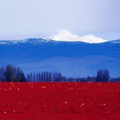 Aртур Гамзаев