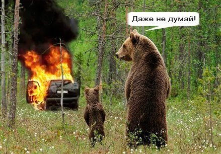 Дмитрий Чистяков