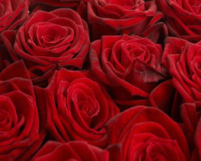 Суймуканова Индира