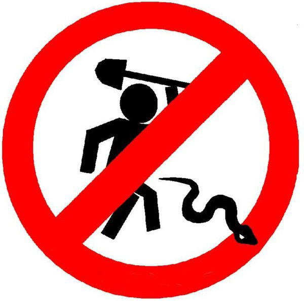 Лихо Спящее