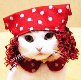 Tori !!!!!!!!!!!!!!!!