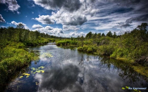 Владимир Шубин