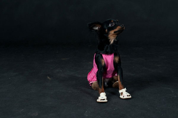 Ирина Щербатых