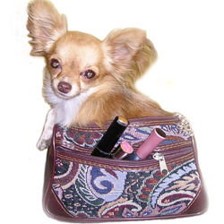 Светлана Черепанова