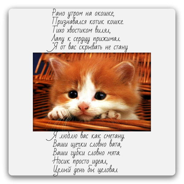 Айдана Маманова