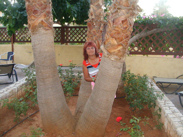 Наталья Дарзиян