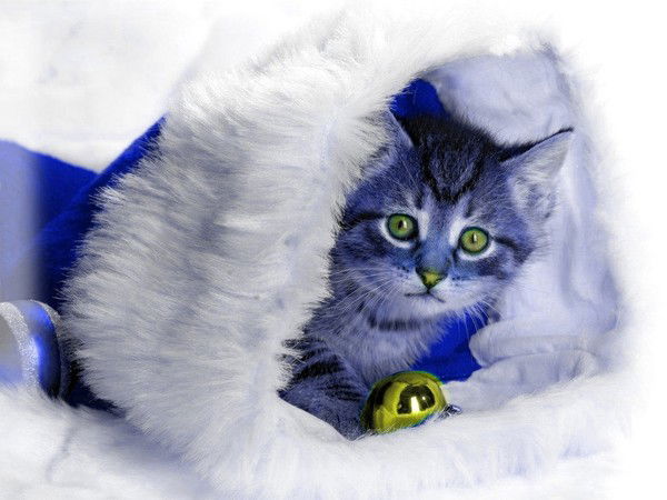 Ооо Реал-Сервис Реал-Сервис