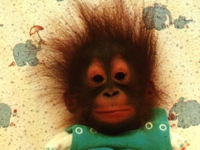 Сергей Алёхин