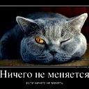 Ольга Знаменская