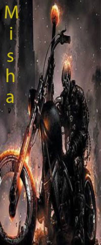 Міша Лисаник