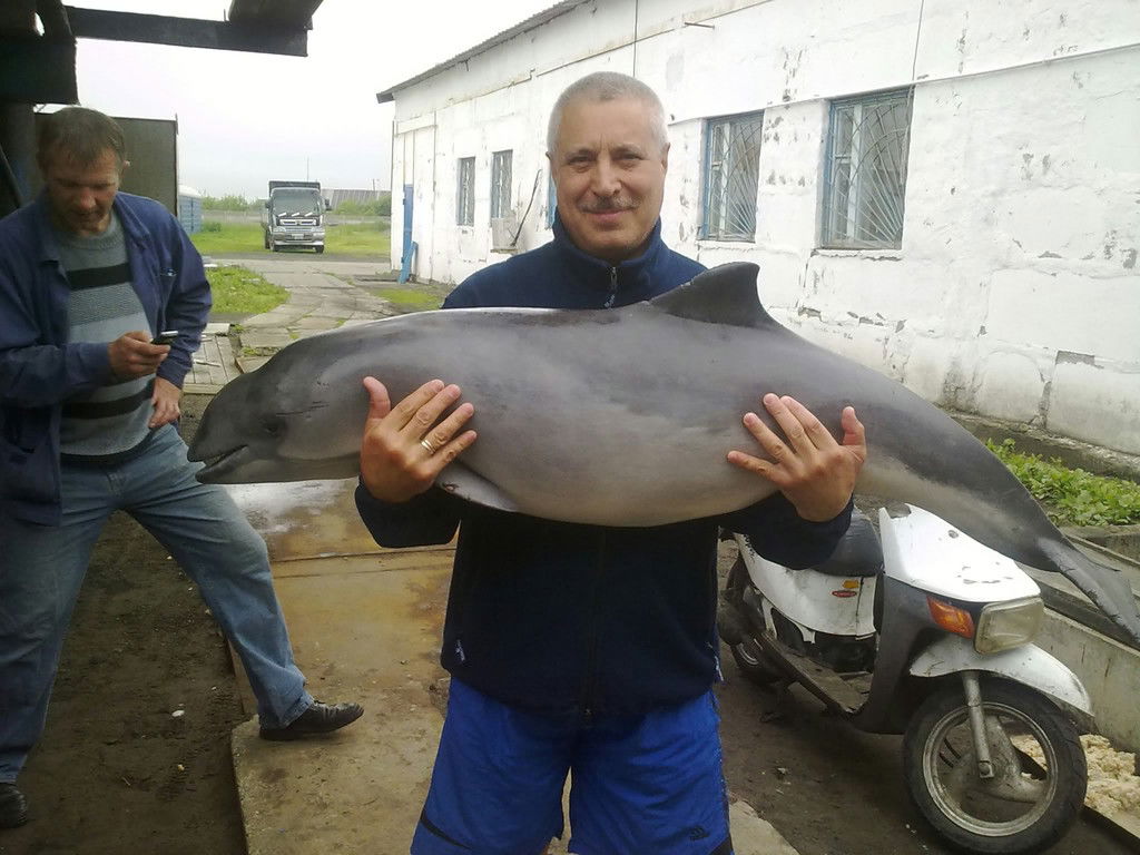 Анатолий Анатолий