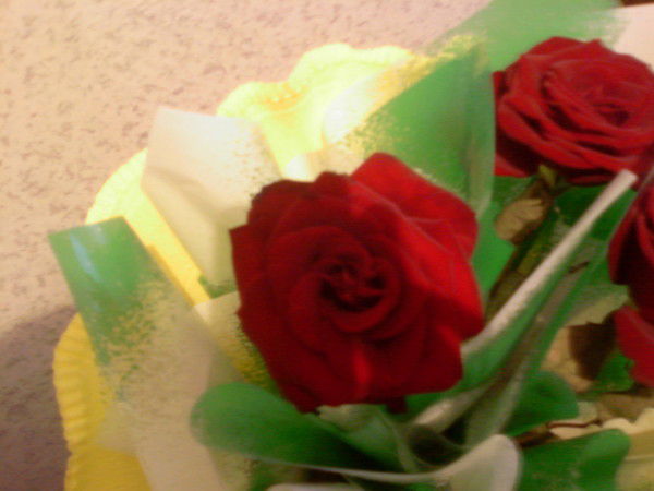 Ирина Тулегенова