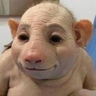 Борис Кубарев