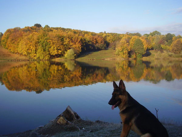 Артем Калюк