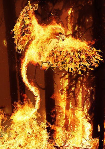 Тимур Сарманов