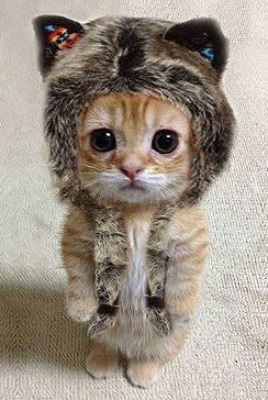 Мария Абдулаева