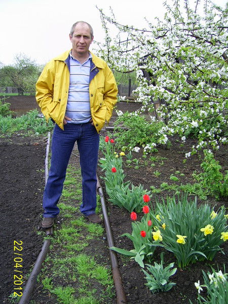 Николай Онищенко