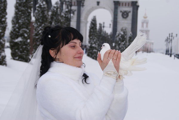 Елена Кофанова