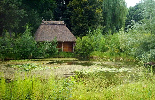 Алла Федорова