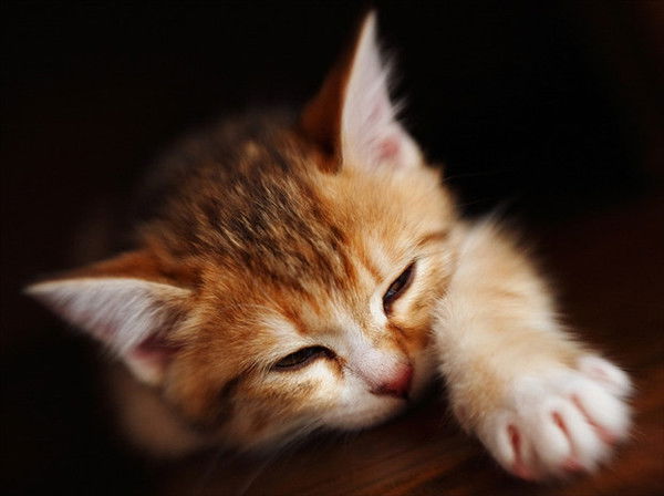 Надежда Воробьёва