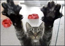 Евгений Гуляев