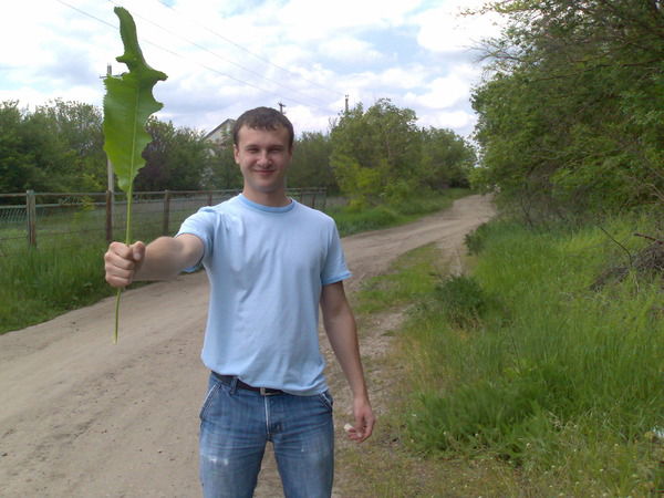 Денис Павлов