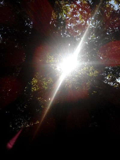 Назар Казымирко