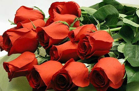 Елена Гатаулина