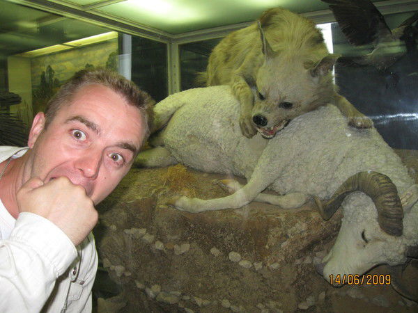 Сергей Байгушкин