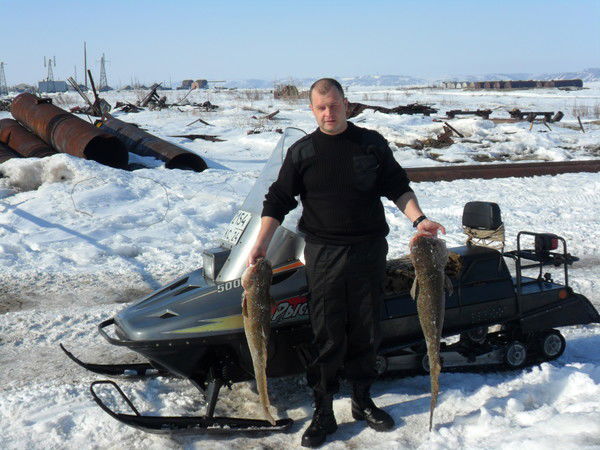 Дмитрий Гринев