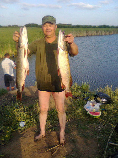 Курмангали Сулейменов