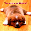 Динара Динара
