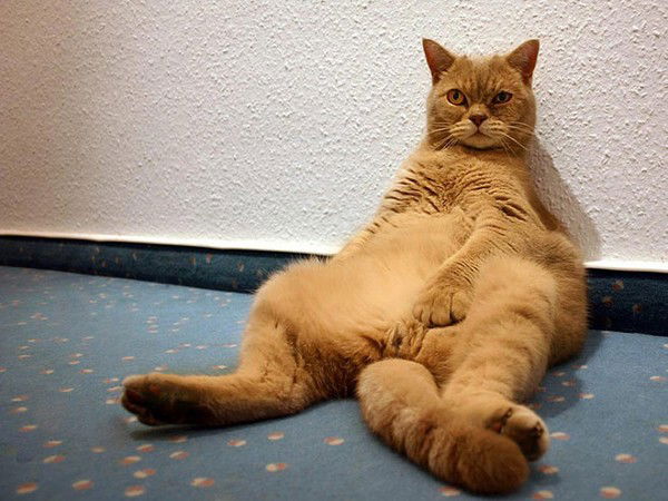 Дмитрий Телинин