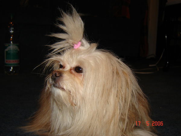 Кондрата Карлович