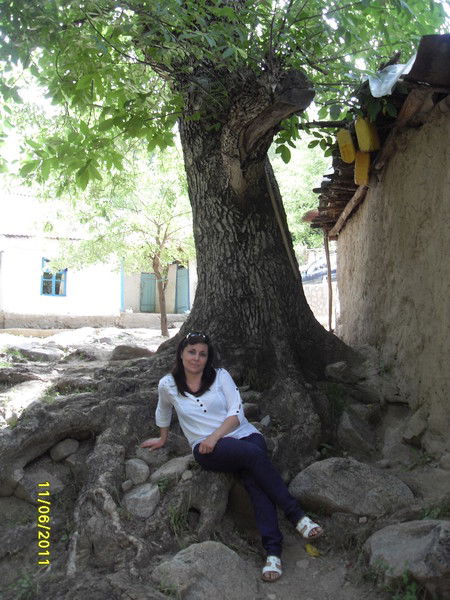 Неизвестно Неизвестно