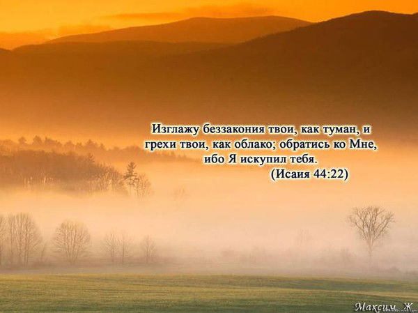 Лена Гавриленко