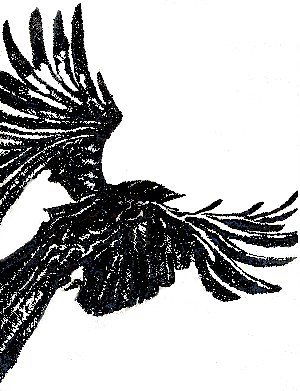 Дмитрий Кузин