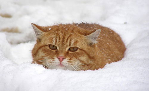 Валентина Калинина