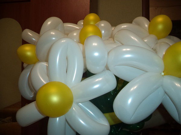 Лариса Шенкаренко