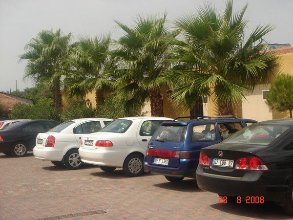 Дмитрий Елькин