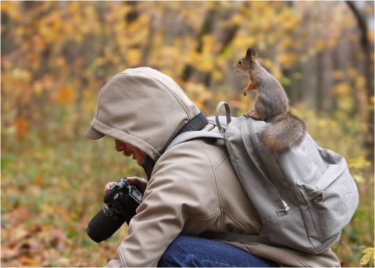 Лёша Каримов