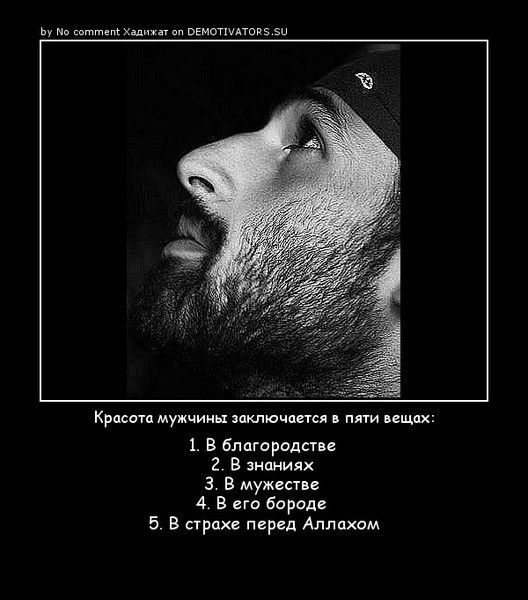 Камиль Синагулов