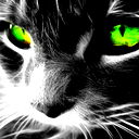 Зая Из Рая