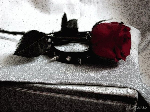 Ирина Сосновая