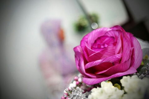 ...................... .................