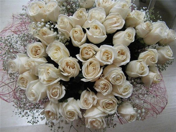 Светлана Глухова