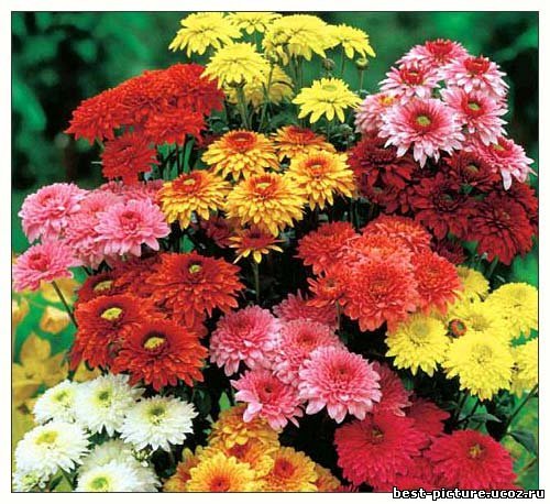 Гульжан Жаксыбаева