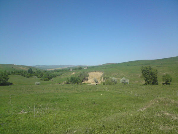 Эльмира Жанабаева