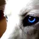 Павел Омельченко